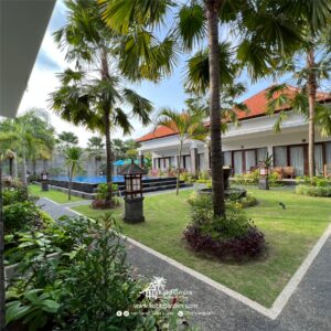 galery 5